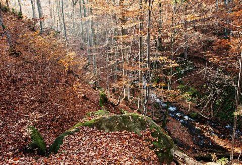 Autumn city break in Poland: 5 less known destinations